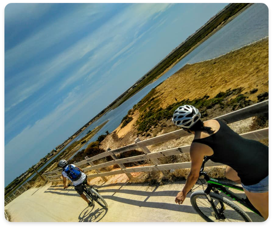 bike3